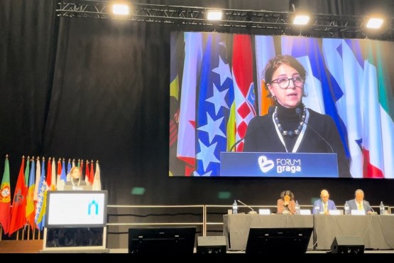 Chair of the PABiH Delegation to PAM, Rejhana Dervišević, presented a report on global economic perspectives and the future of the Euro-Mediterranean and Gulf region