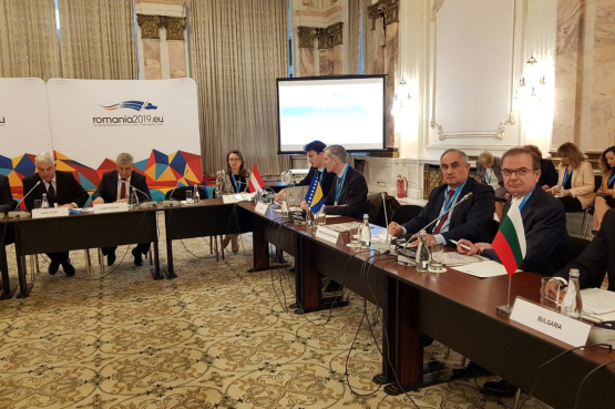 Okončan rad 6. Konferencije parlamentaraca Dunavskog regiona