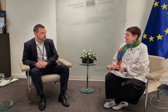 Predsjedavajući Delegacije PSBiH u PSVE Saša Magazinović na sastanku sa predsjednicom PSVE